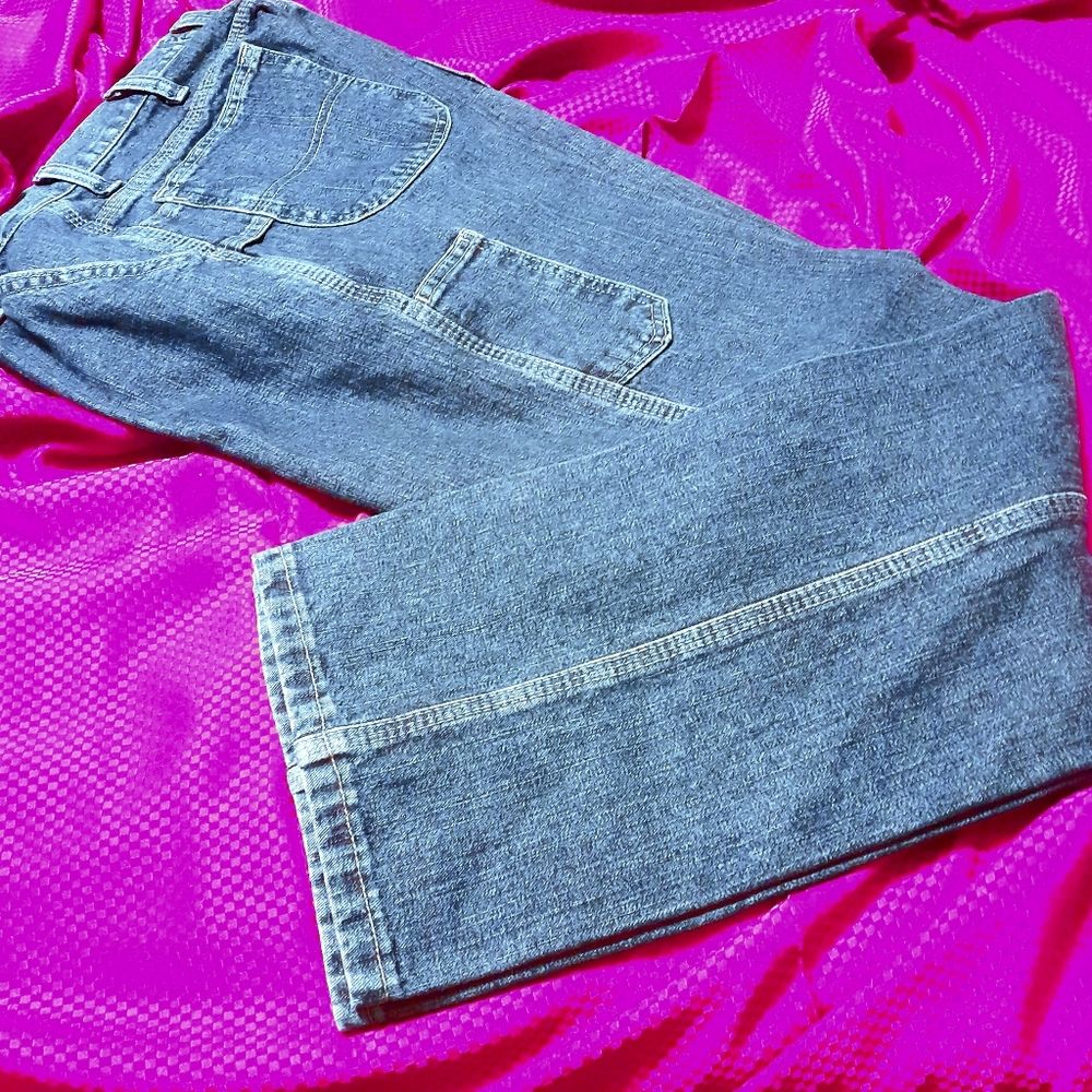 Ladies painter jeans